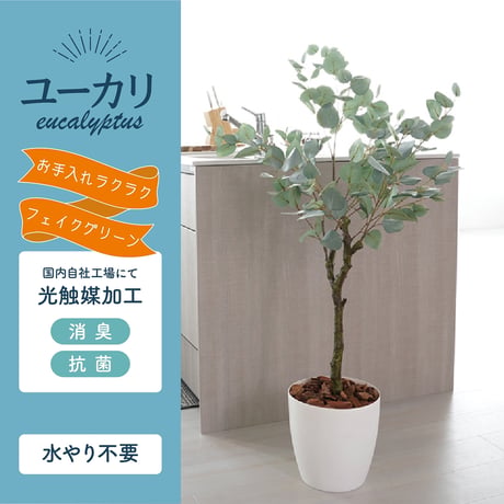 光触媒インテリアグリーン ユーカリ130cm鉢付き 23210●光触媒インテリアグリーン ユーカリ130cm鉢付き●エスエスケイ【取寄せ商品】
