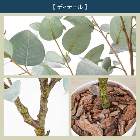 光触媒インテリアグリーン ユーカリ130cm鉢付き 23210●光触媒インテリアグリーン ユーカリ130cm鉢付き●エスエスケイ【取寄せ商品】