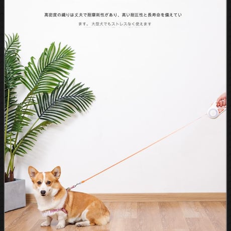 LEDﾗｲﾄ付き伸縮ﾘｰﾄﾞ(乾電池式)5m LEDライト付き リード 耐久性ナイロン 安全散歩 暗い道 光るリード カラーバリエーション ペット用リード 夜の散歩 DT868