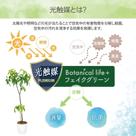 光触媒インテリアグリーン パキラ150cm鉢付き 25126●光触媒インテリアグリーン パキラ150cm鉢付き●エスエスケイ【取寄せ商品】