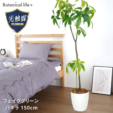 光触媒インテリアグリーン パキラ150cm鉢付き 25126●光触媒インテリアグリーン パキラ150cm鉢付き●エスエスケイ【取寄せ商品】