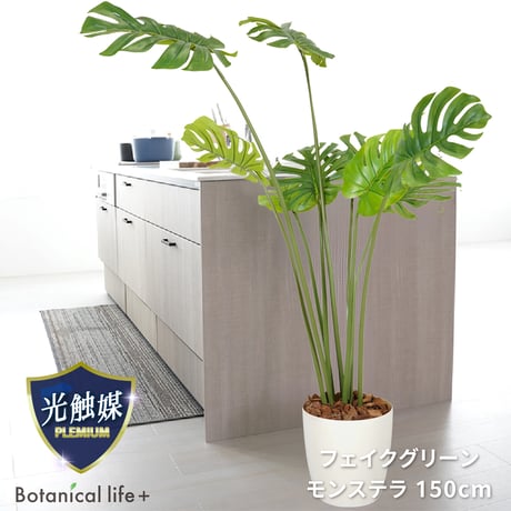 光触媒インテリアグリーン モンステラ150cm 鉢付き 23132●光触媒インテリアグリーン モンステラ150cm 鉢付き●エスエスケイ【取寄せ商品】