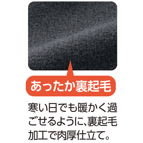 裏起毛スタイルケアパンツ　抗菌防臭　肉厚あったか素材　秋冬　婦人用　ＣＨ　 DAP【取寄せ商品】