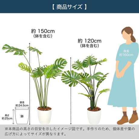 光触媒インテリアグリーン モンステラ150cm 鉢付き 23132●光触媒インテリアグリーン モンステラ150cm 鉢付き●エスエスケイ【取寄せ商品】