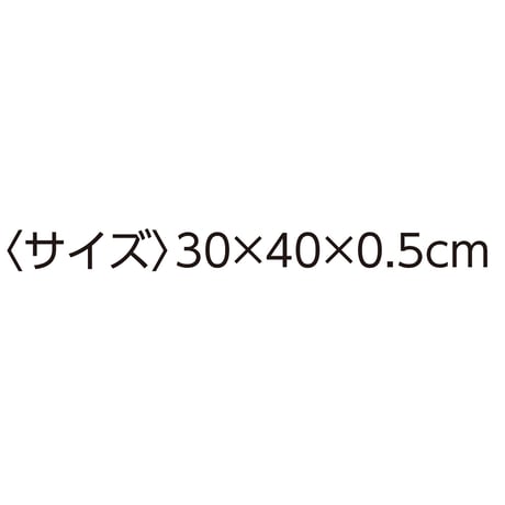 すべらないクッション　柔らか素材　高吸水　洗濯機乾燥機対応　姿勢安定保持 DAP【取寄せ商品】