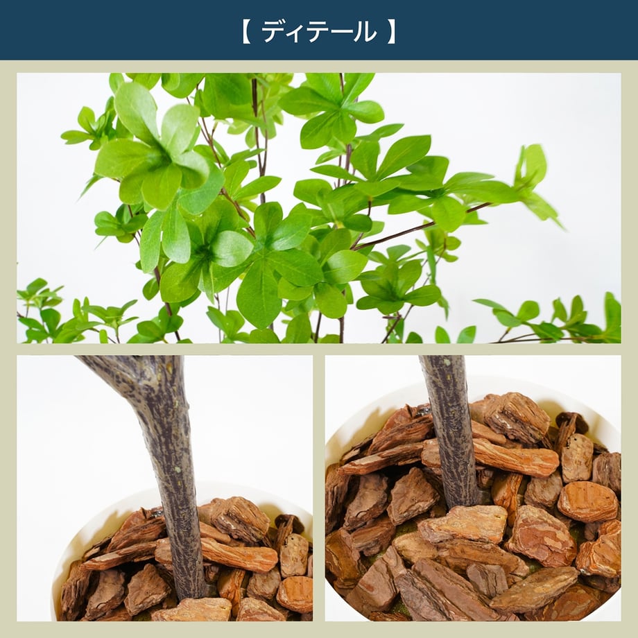 6856669fc49f180001b44f6f