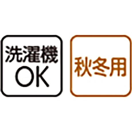 裏起毛スタイルケアパンツ　抗菌防臭　肉厚あったか素材　秋冬　婦人用　ＢＲ　 DAP【取寄せ商品】