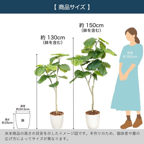 光触媒インテリアグリーン ウンベラータ130cm 鉢付き 25133●光触媒インテリアグリーン ウンベラータ130cm 鉢付き●エスエスケイ【取寄せ商品】
