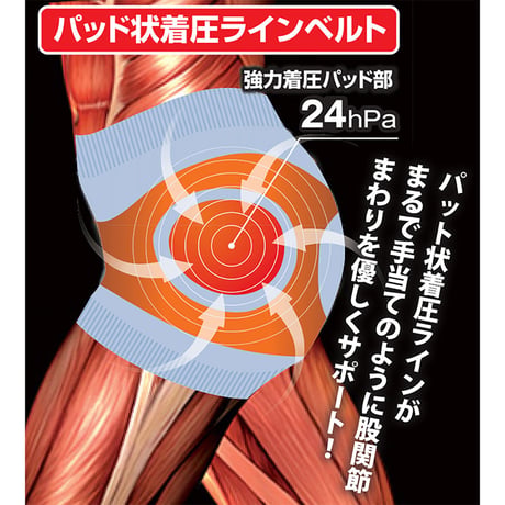 寝ながら股関節サポータープラス 骨盤 引き締め 着圧 安眠 美脚 美尻 M~L 6300069216●ホットクラス【取寄せ商品】
