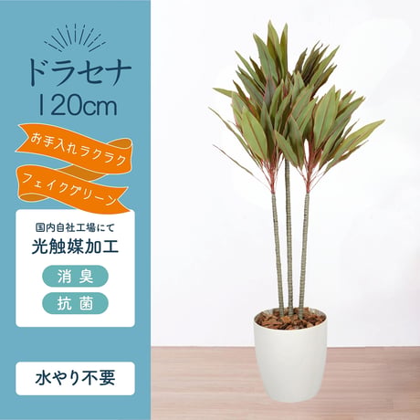 光触媒インテリアグリーン ドラセナ120cm 鉢付き 25129●光触媒インテリアグリーン ドラセナ120cm 鉢付き●エスエスケイ【取寄せ商品】