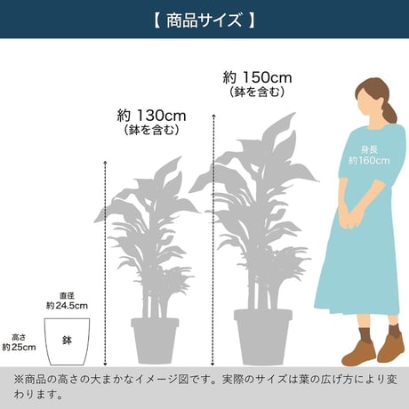 光触媒インテリアグリーン オリーブ130cm鉢付き 23208●光触媒インテリアグリーン オリーブ130cm鉢付き●エスエスケイ【取寄せ商品】