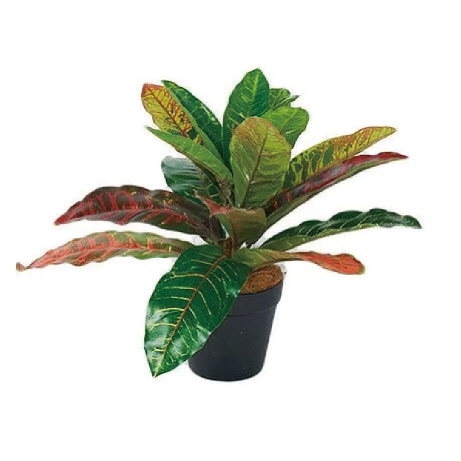 681474f21b072a00016515b2