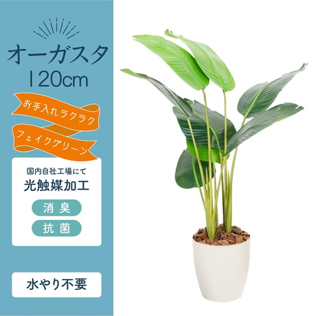光触媒インテリアグリーン オーガスタ120cm 鉢付き 25140●光触媒インテリアグリーン オーガスタ120cm 鉢付き●エスエスケイ【取寄せ商品】