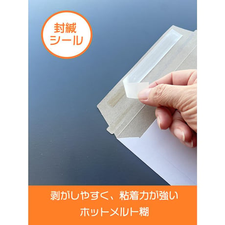 厚紙封筒　Ａ５・ＤＶＤ　エコノミータイプ　コートボール紙　２５０ｇ／㎡　１箱５００枚入り  【取寄せ商品】