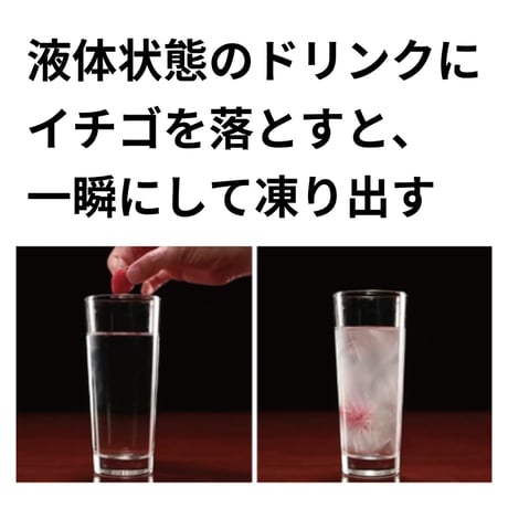 【過冷却冷蔵庫】TOKYO SNOWMAN アイススラリー