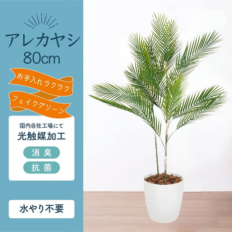 光触媒インテリアグリーン アレカヤシ80cm 鉢付き 25127●光触媒インテリアグリーン アレカヤシ80cm 鉢付き●エスエスケイ【取寄せ商品】
