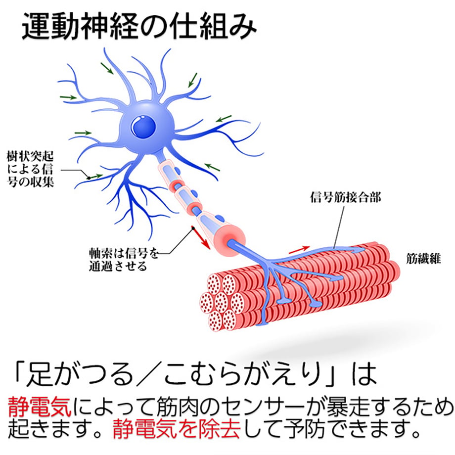 67973e965d38e900012adf58
