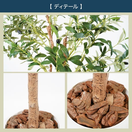 光触媒インテリアグリーン オリーブ150cm鉢付き 25124●光触媒インテリアグリーン オリーブ150cm鉢付き●エスエスケイ【取寄せ商品】