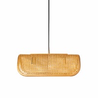 ＲＡＴＴＡＮ　ＰＥＮＧＡＮＴ　ＬＡＭＰ　２ＢＵＬＢ　ＮＴ BRID