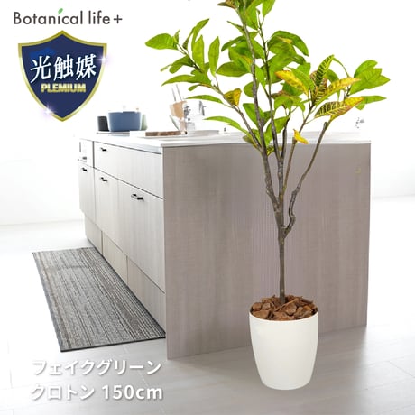 光触媒インテリアグリーン クロトン150cm 鉢付き 25138●光触媒インテリアグリーン クロトン150cm 鉢付き●エスエスケイ【取寄せ商品】