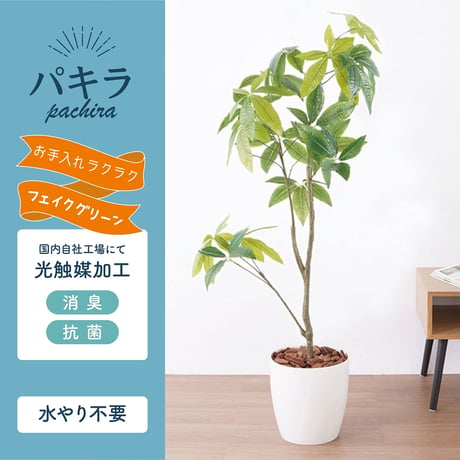 光触媒インテリアグリーン パキラ130cm鉢付き 23207●光触媒インテリアグリーン パキラ130cm鉢付き●エスエスケイ【取寄せ商品】