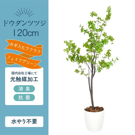 光触媒インテリアグリーン ドウダンツツジ120cm 鉢付き 25142●光触媒インテリアグリーン ドウダンツツジ120cm 鉢付き●エスエスケイ【取寄せ商品】