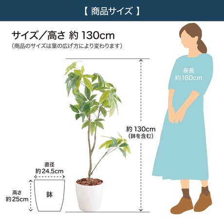 光触媒インテリアグリーン パキラ130cm鉢付き 23207●光触媒インテリアグリーン パキラ130cm鉢付き●エスエスケイ【取寄せ商品】