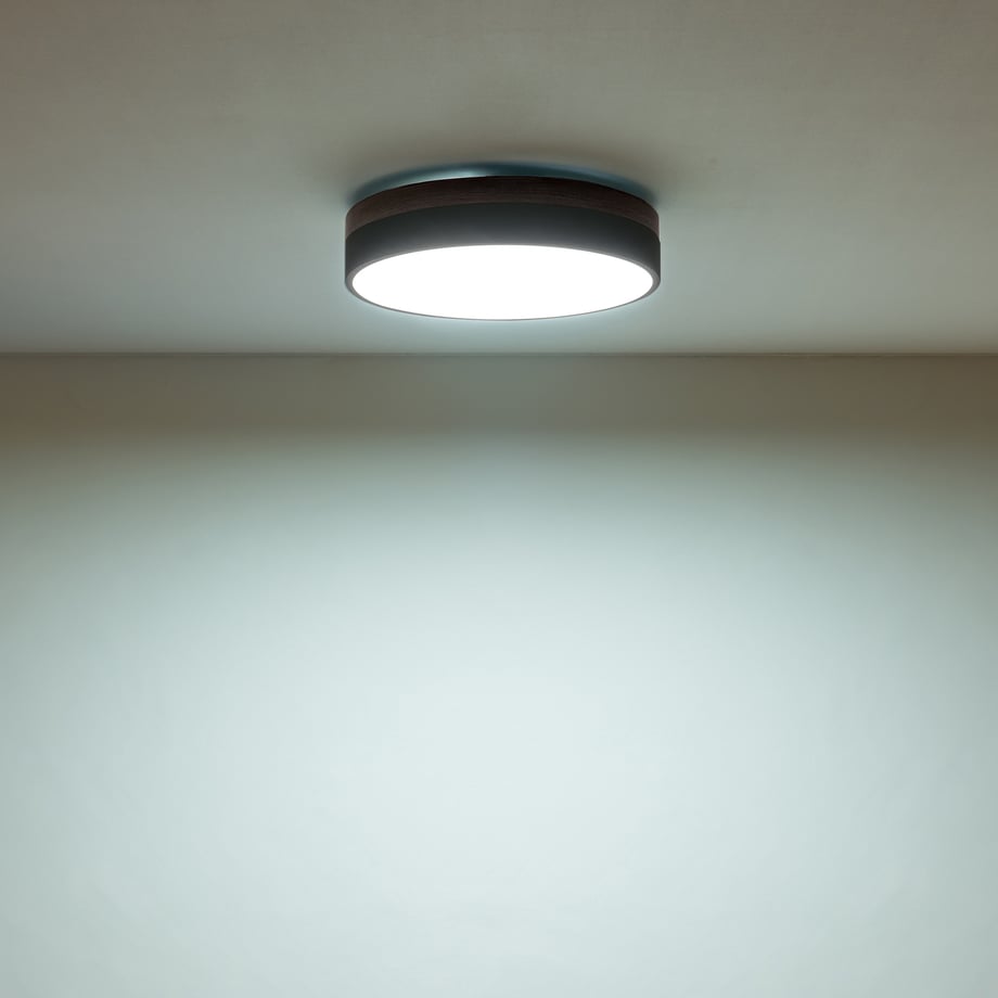 65dee72e6005370001e311c6