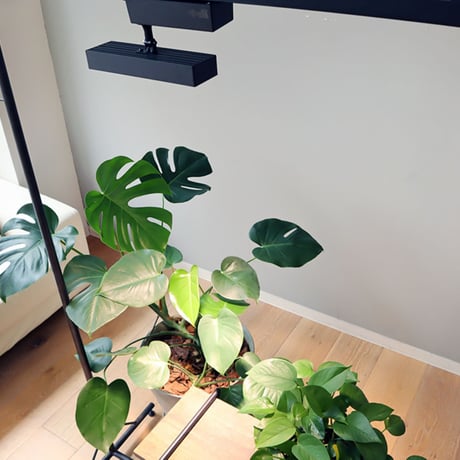 ＬＥＤ　ＳＰＯＴ　ＬＩＧＨＴ　ｆｏｒ　ＰＬＡＮＴＳ　３０Ｗ　ホワイト　ＷＡＲＭ BRID