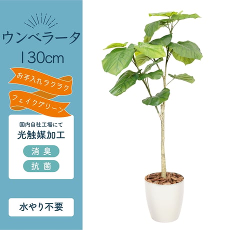 光触媒インテリアグリーン ウンベラータ130cm 鉢付き 25133●光触媒インテリアグリーン ウンベラータ130cm 鉢付き●エスエスケイ【取寄せ商品】