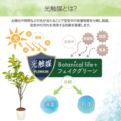 光触媒インテリアグリーン クロトン150cm 鉢付き 25138●光触媒インテリアグリーン クロトン150cm 鉢付き●エスエスケイ【取寄せ商品】