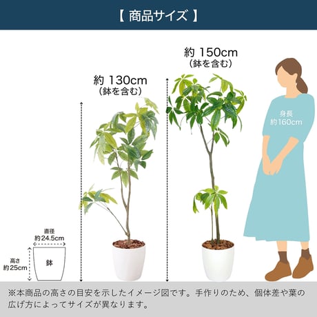 光触媒インテリアグリーン パキラ150cm鉢付き 25126●光触媒インテリアグリーン パキラ150cm鉢付き●エスエスケイ【取寄せ商品】