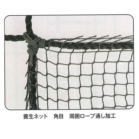 養生ネット　エステル３０ｍｍグリーン（２２００Ｔ／５）KT-60R-5G●養生●ネット●エステル●３０ｍｍ●グリーン●２２００Ｔ●５【取寄せ商品】
