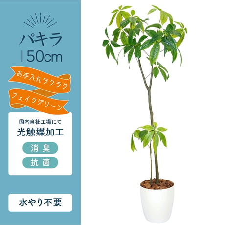 光触媒インテリアグリーン パキラ150cm鉢付き 25126●光触媒インテリアグリーン パキラ150cm鉢付き●エスエスケイ【取寄せ商品】