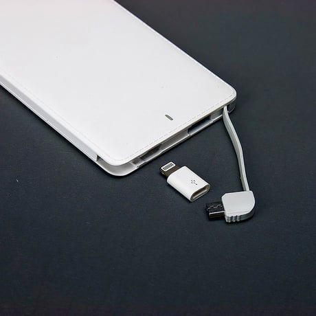モバイルバッテリー５０００ｍＡｈ 61425●モバイルバッテリー５０００ｍＡｈ●ボウエキ 61425●モバイルバッテリー５０００ｍＡｈ●ボウエキ【取寄せ商品】