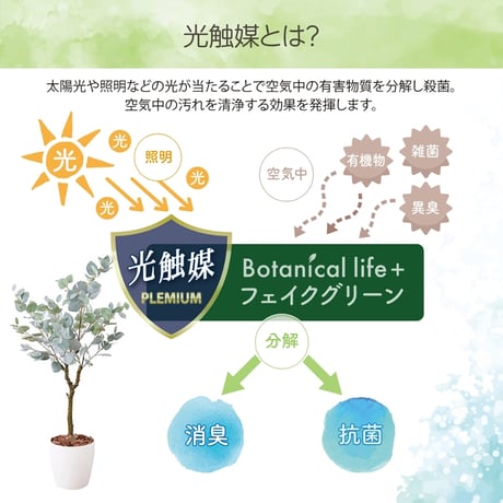 光触媒インテリアグリーン ユーカリ130cm鉢付き 23210●光触媒インテリアグリーン ユーカリ130cm鉢付き●エスエスケイ【取寄せ商品】