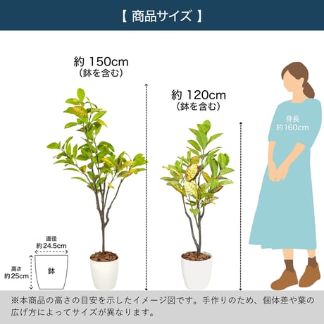 光触媒インテリアグリーン クロトン120cm 鉢付き 25137●光触媒インテリアグリーン クロトン120cm 鉢付き●エスエスケイ【取寄せ商品】