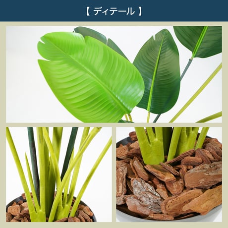 光触媒インテリアグリーン オーガスタ150cm 鉢付き 25141●光触媒インテリアグリーン オーガスタ150cm 鉢付き●エスエスケイ【取寄せ商品】