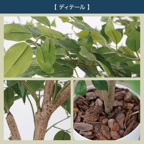 光触媒インテリアグリーン ベンジャミン130cm鉢付き 23209●光触媒インテリアグリーン ベンジャミン130cm鉢付き●エスエスケイ【取寄せ商品】