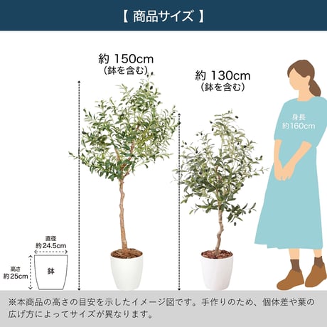 光触媒インテリアグリーン オリーブ150cm鉢付き 25124●光触媒インテリアグリーン オリーブ150cm鉢付き●エスエスケイ【取寄せ商品】