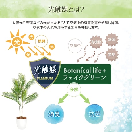 光触媒インテリアグリーン アレカヤシ80cm 鉢付き 25127●光触媒インテリアグリーン アレカヤシ80cm 鉢付き●エスエスケイ【取寄せ商品】