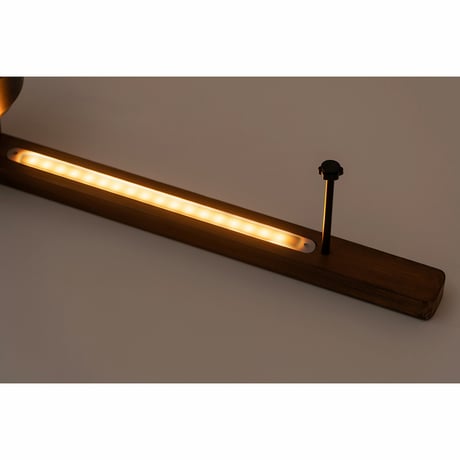 ＬＩＧＨＴＩＮＧ　ＤＵＣＴ　ＲＡＩＬ　Ｗｉｔｈ　ＬＥＤ　ＷＯＯＤ BRID