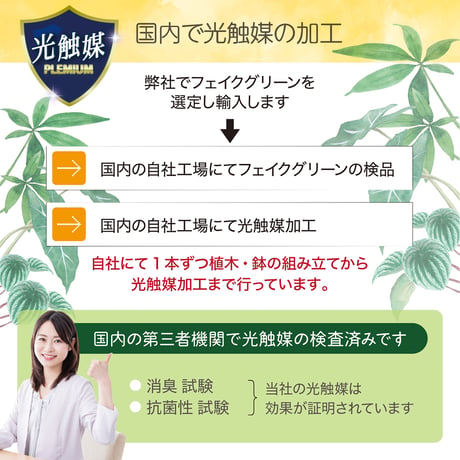 光触媒インテリアグリーン ユーカリ150cm鉢付き 25139●光触媒インテリアグリーン ユーカリ150cm鉢付き●エスエスケイ【取寄せ商品】