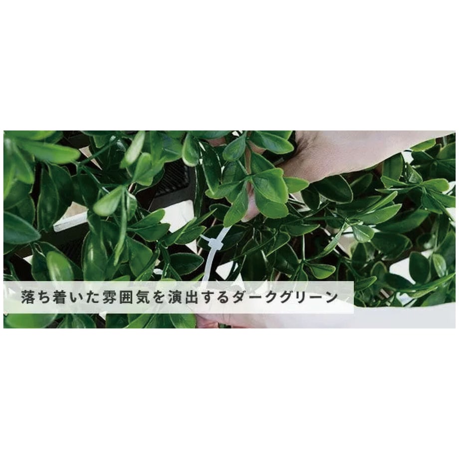 681474e91b072a00016515a5