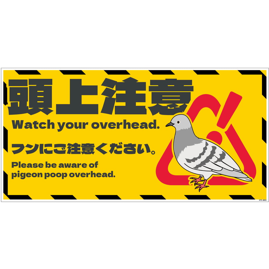 67ef4119d2f41000012967d5