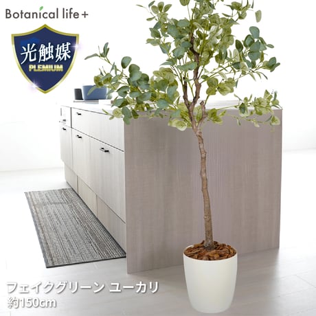 光触媒インテリアグリーン ユーカリ150cm鉢付き 25139●光触媒インテリアグリーン ユーカリ150cm鉢付き●エスエスケイ【取寄せ商品】