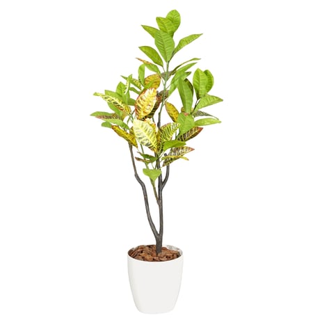 光触媒インテリアグリーン クロトン120cm 鉢付き 25137●光触媒インテリアグリーン クロトン120cm 鉢付き●エスエスケイ【取寄せ商品】