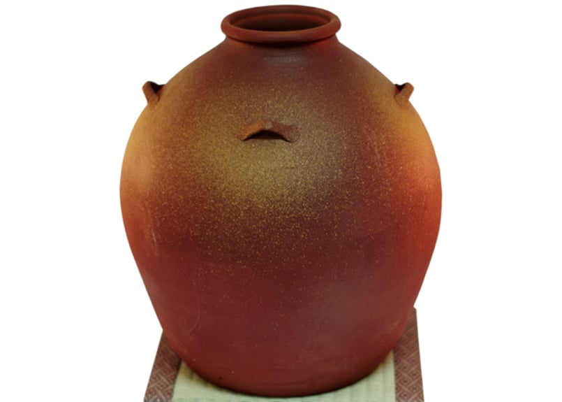 古代文明 ペルー 神獣 壺 発掘品 彩色土器 甕 穀物用壺 コンドル 神鳥