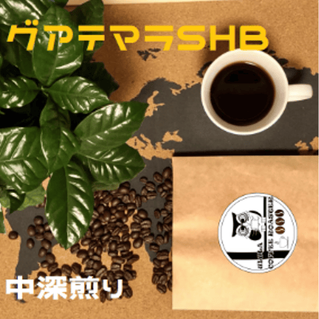 【スタンダードコーヒー豆】グアテマラSHB