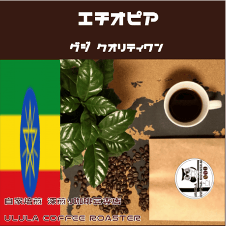 【スペシャリティコーヒー】エチオピア グジクオリティワン